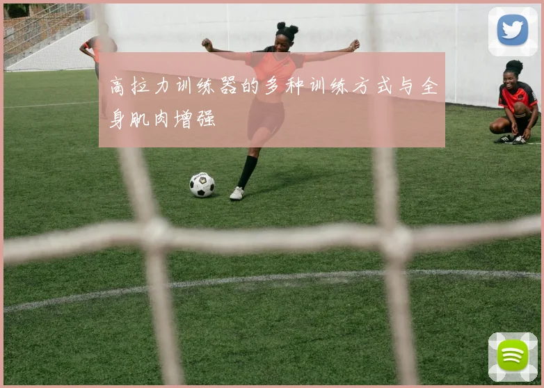 高拉力训练器的多种训练方式与全身肌肉增强