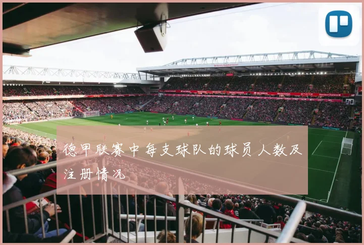 德甲联赛中每支球队的球员人数及注册情况